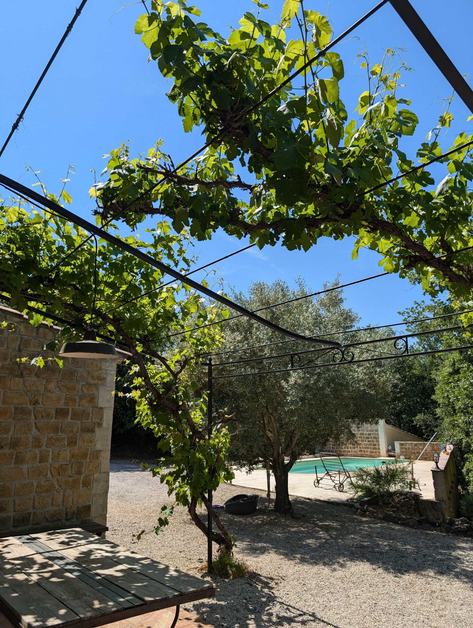 Pergola noire sur mesure avec poteaux en fer et croix de renfort pour soutenir une vigne à Saint-Maximin