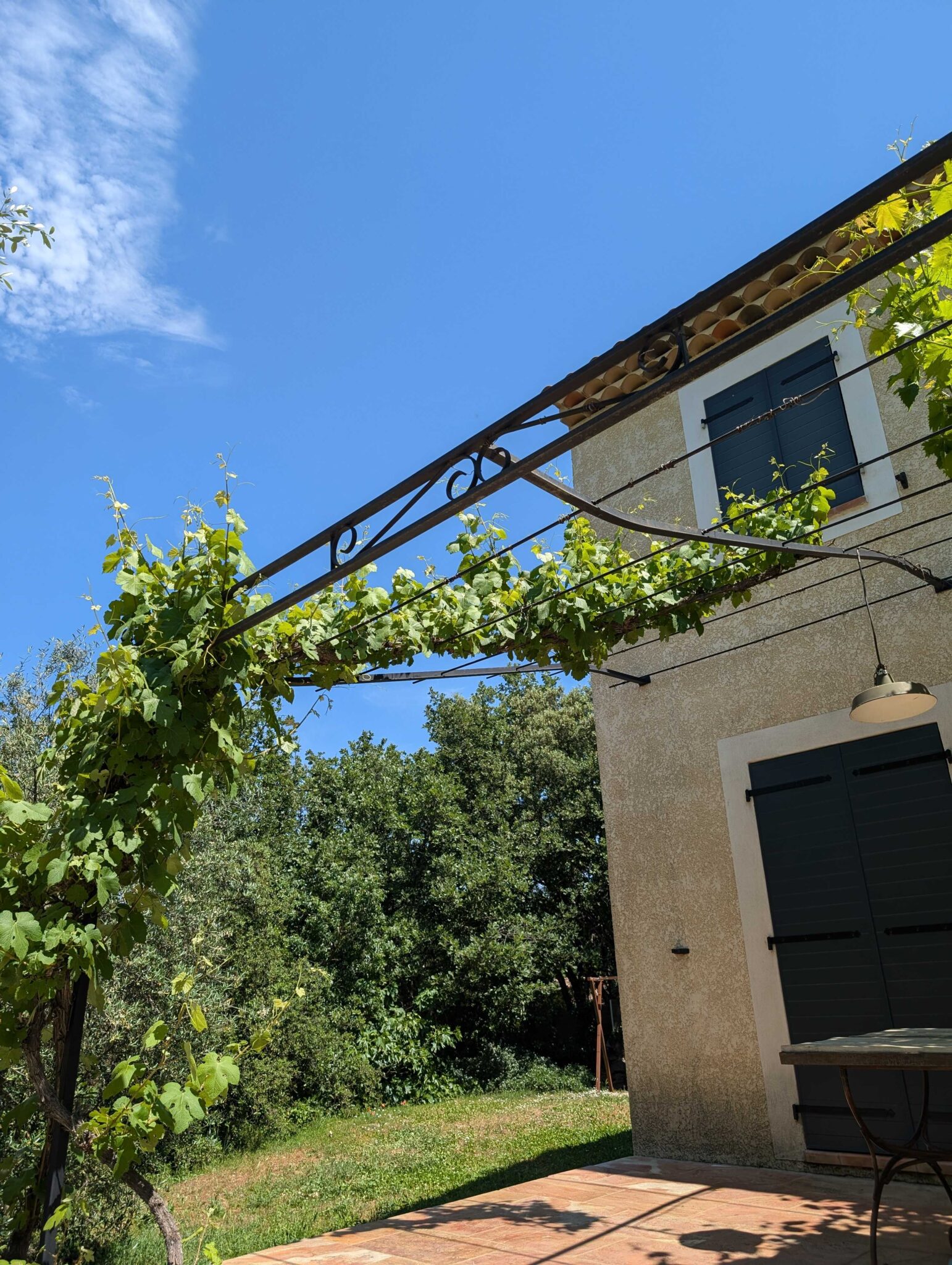 Pergola noire sur mesure avec poteaux en fer et croix de renfort pour soutenir une vigne à Saint-Maximin