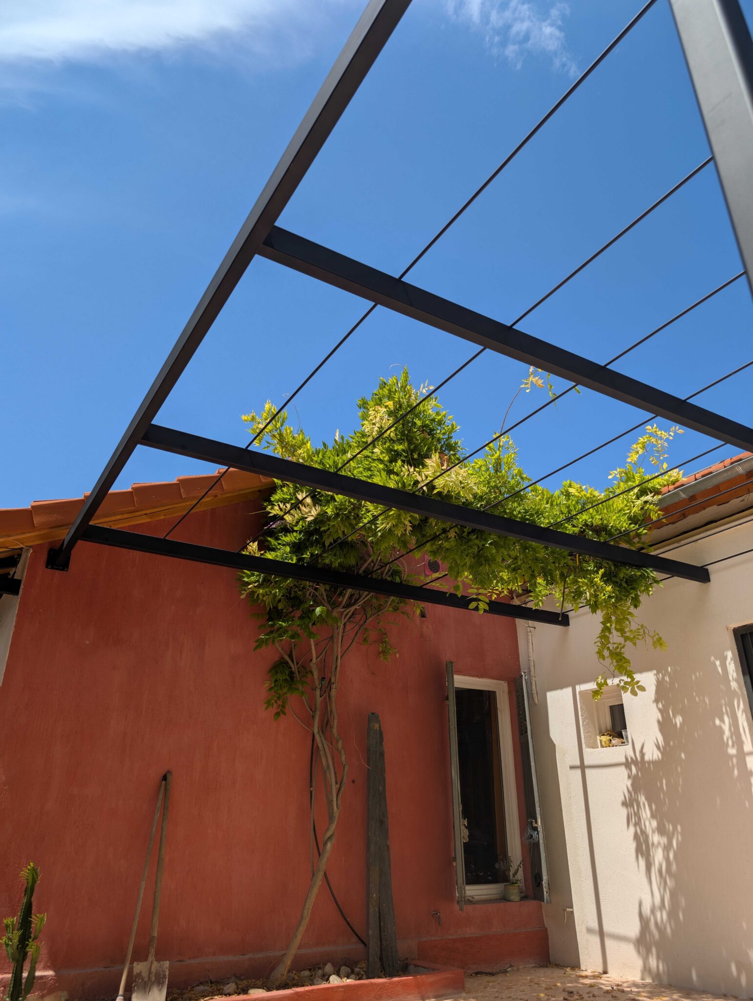Vue de la pergola en acier noir mat avec une glycine en croissance intégrée à la structure.